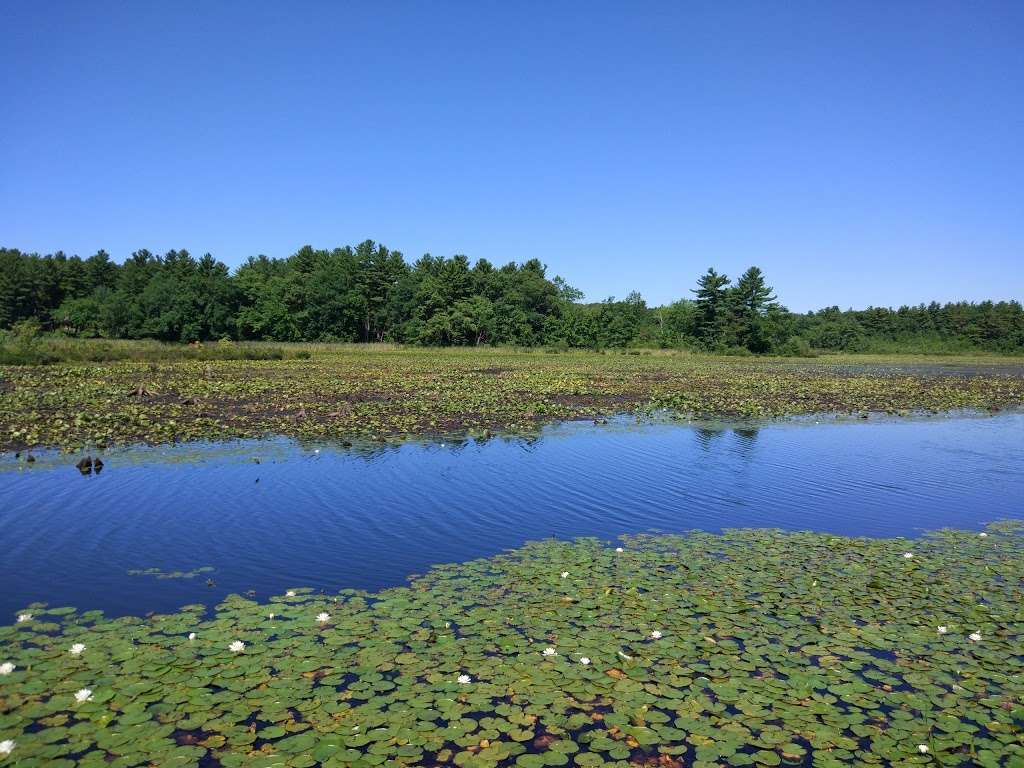 Cranberry Bog | Carlisle, MA 01741, USA