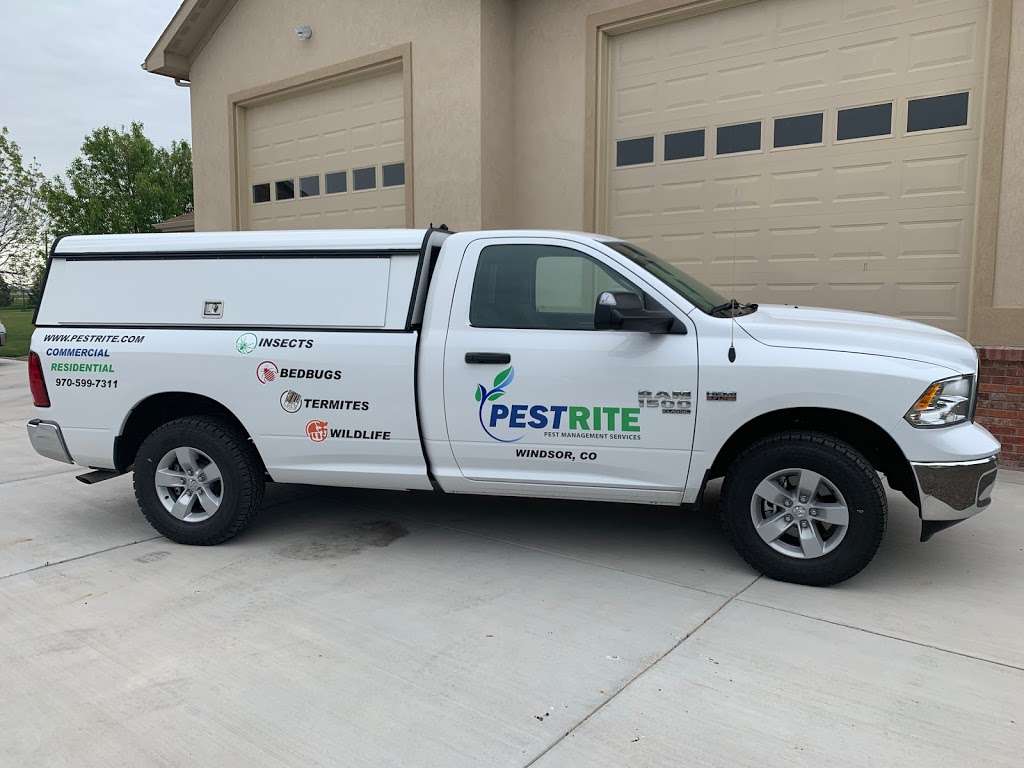 PESTRITE Pest Management | 33924 Winter Way, Windsor, CO 80550, USA | Phone: (970) 599-7311