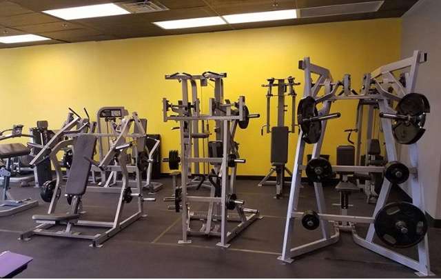 Muscle + Hardbodies Gym | 4600 W Craig Rd #101, North Las Vegas, NV 89032, USA | Phone: (702) 399-1114