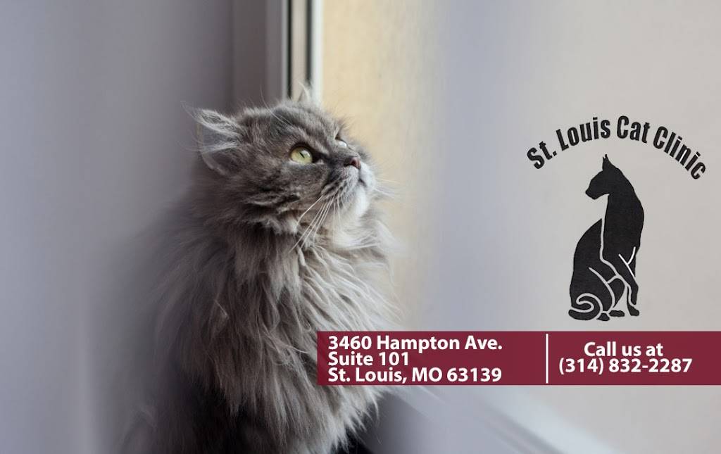 St Louis Cat Clinic | 3460 Hampton Ave #101, St. Louis, MO 63139, USA | Phone: (314) 832-2287