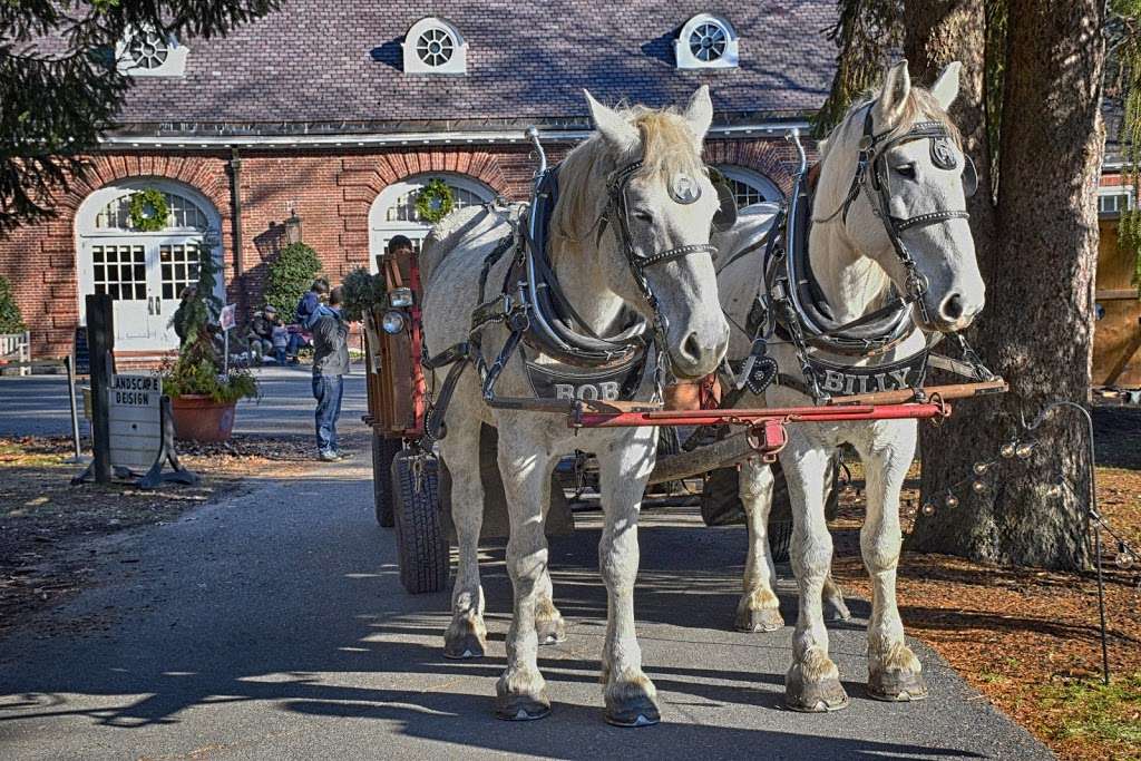 Liberty Farm & Carriage Company | Ironmine Rd, Burrillville, RI 02830, USA | Phone: (401) 651-6004