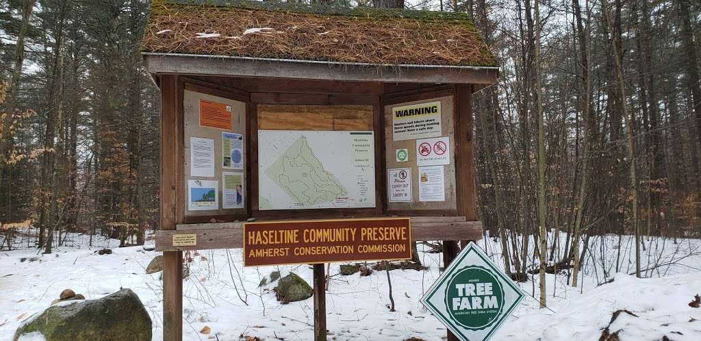 Haseltine Trailhead | B-H Trail, Amherst, NH 03031, USA