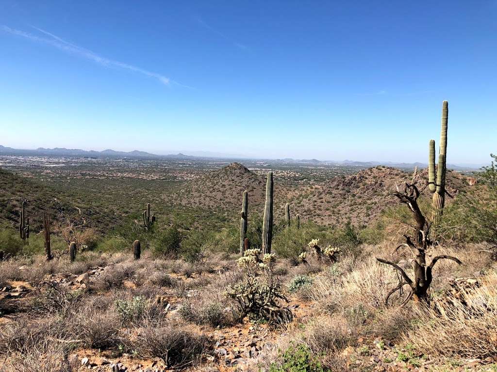 Gateway Trailhead - McDowell Sonoran Preserve | 18333 N Thompson Peak Pkwy, Scottsdale, AZ 85255, USA | Phone: (480) 998-7971