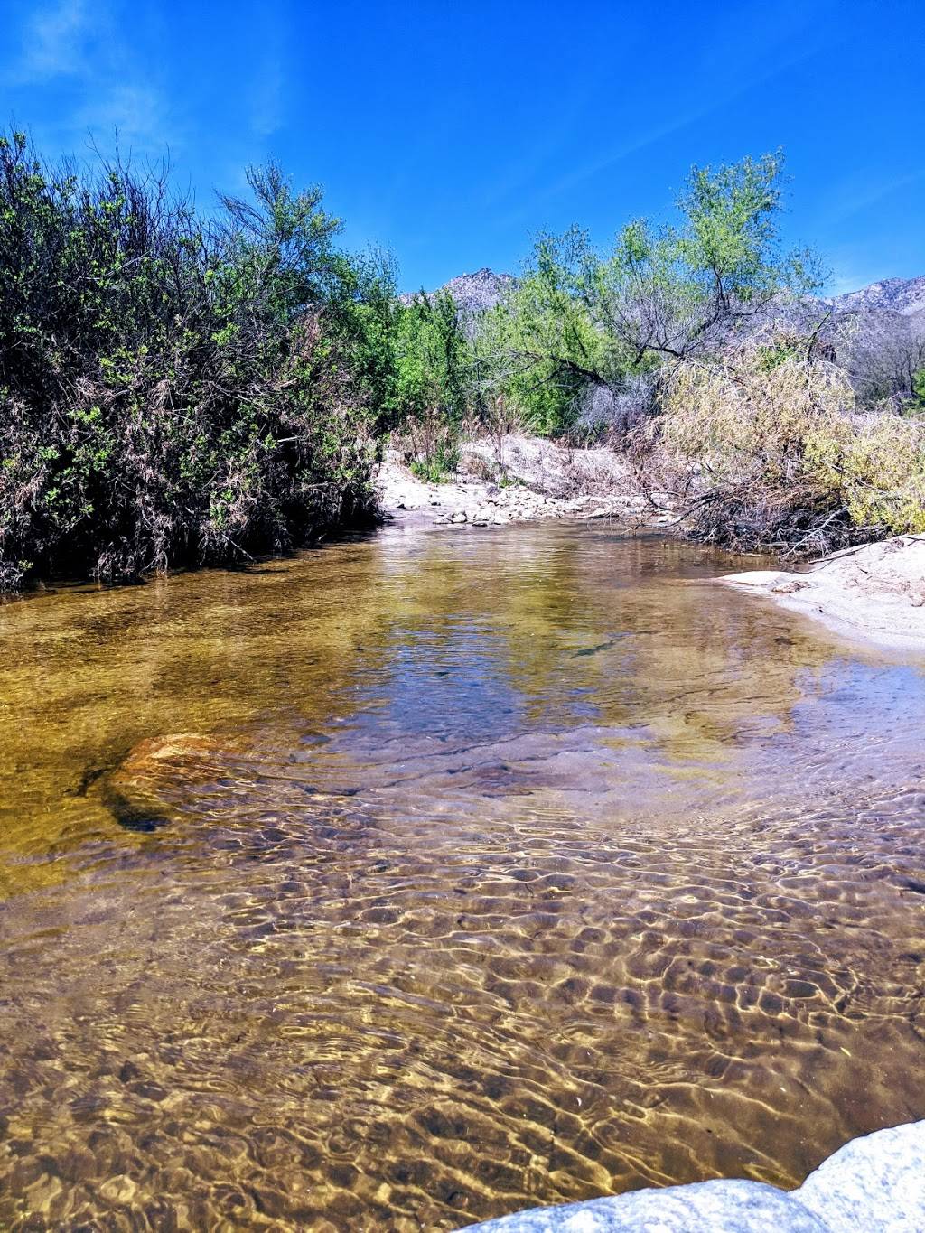 SABINO CANYON RECREATION AREA CACTUS RAMADA 2 | 5700 N Sabino Canyon Rd, Tucson, AZ 85750, USA | Phone: (520) 749-8700