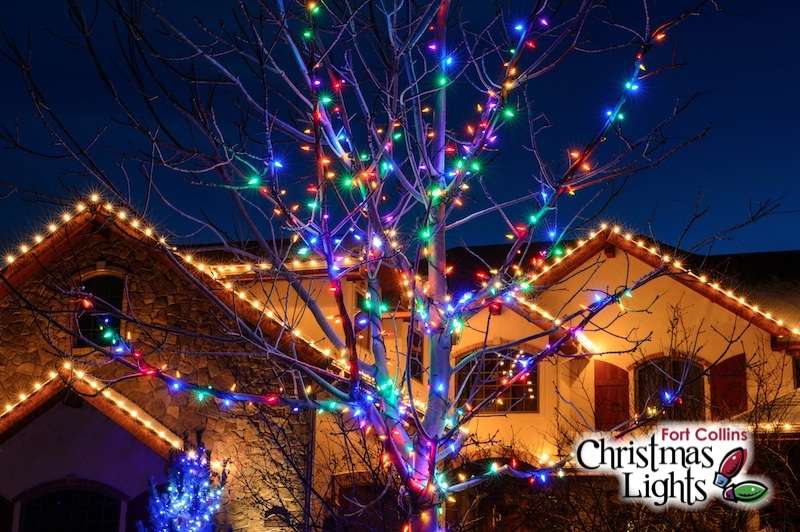 Brilliant Christmas Lights | 6181 Spearmint Ct, Fort Collins, CO 80528, USA | Phone: (970) 818-6400