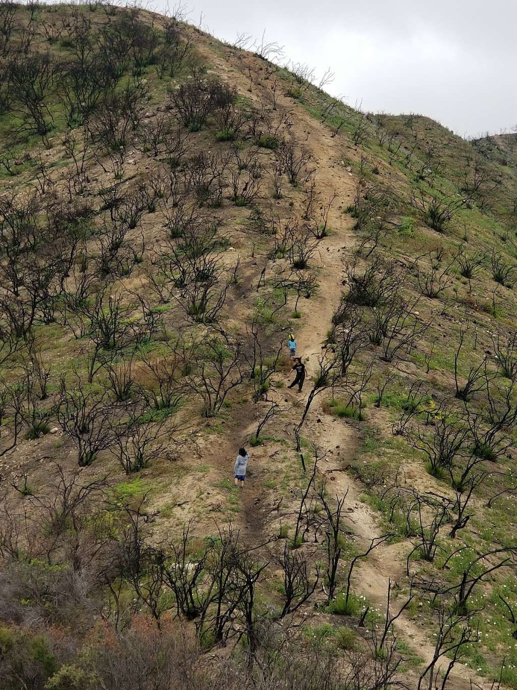 La Tuna Trailhead | S La Tuna Canyon Rd, Sun Valley, CA 91352, USA