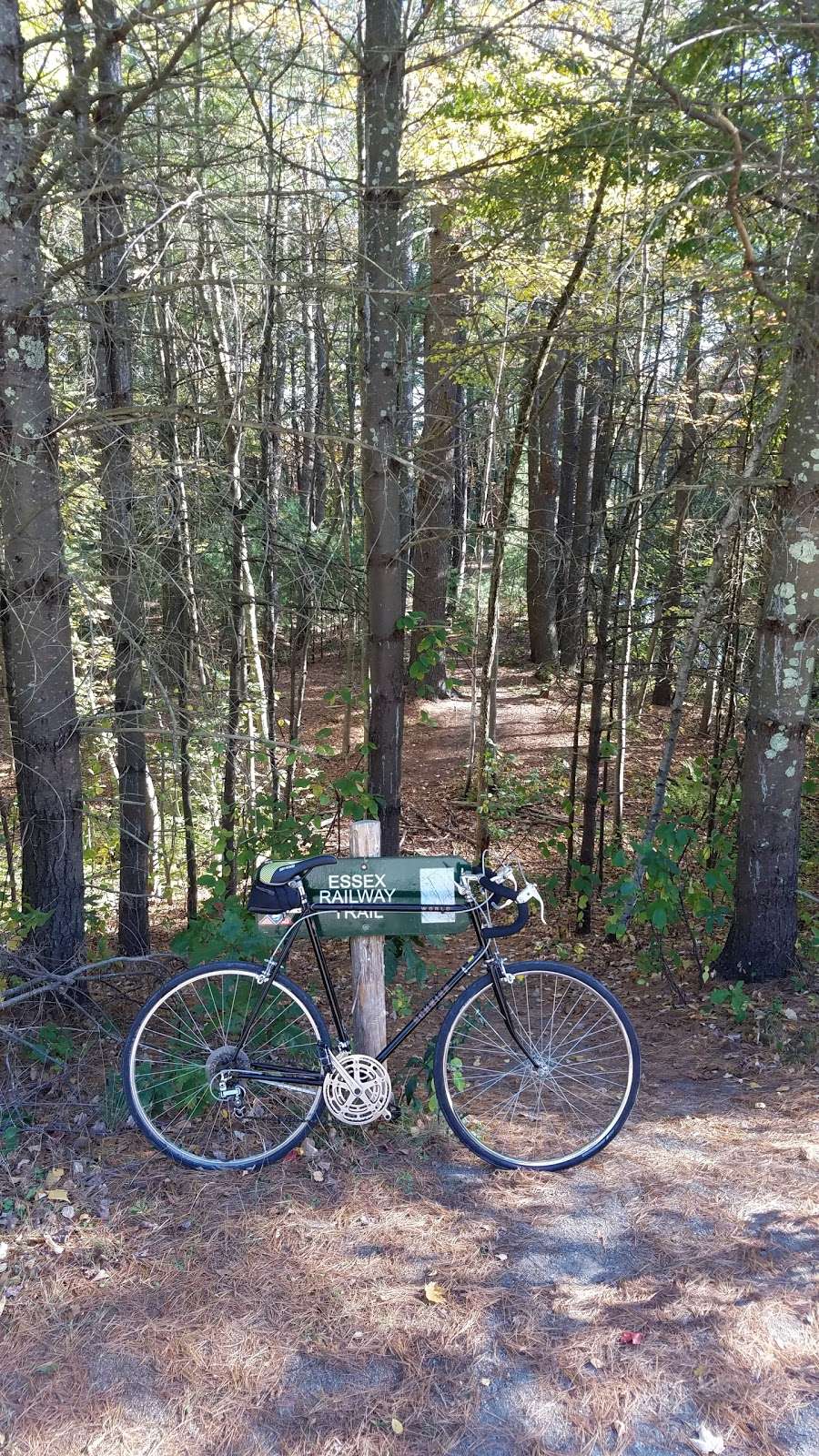 Boxford State Forest | Boxford, MA 01921, USA | Phone: (978) 887-6000