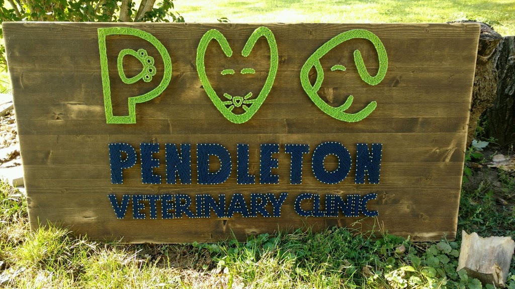 Pendleton Veterinary Clinic | 1011 S Pendleton Ave, Pendleton, IN 46064, USA | Phone: (765) 778-2909