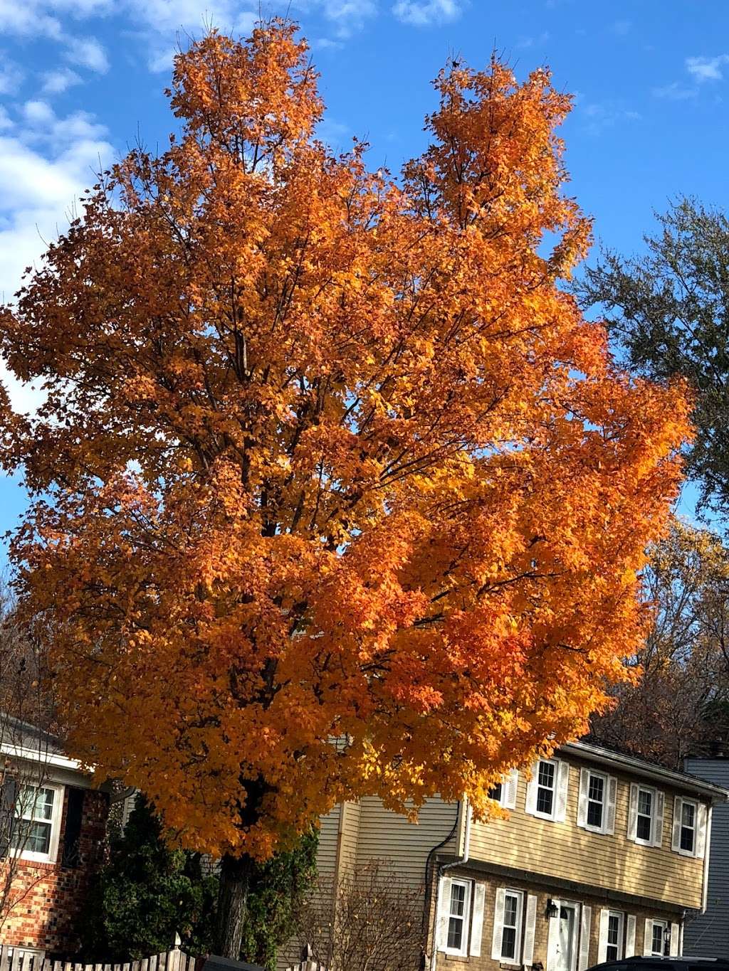 Greenwood Farm Park | Dale City, VA 22193, USA