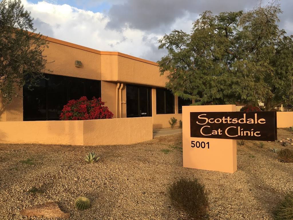 Scottsdale Cat Clinic | 5001 N Granite Reef Rd #105, Scottsdale, AZ 85250, USA | Phone: (480) 970-1175