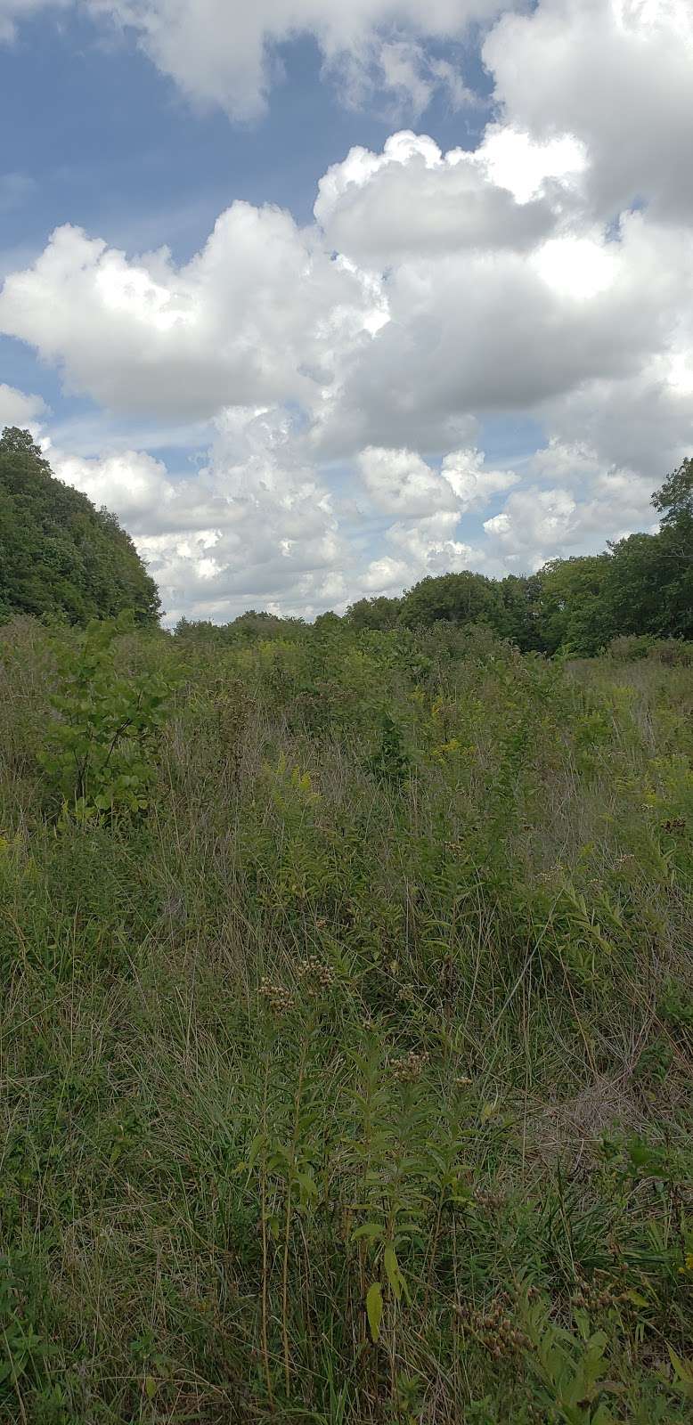 Ferguson-Herold Conservation Area | 2201 Walton Ext Rd, Bates City, MO 64011, USA