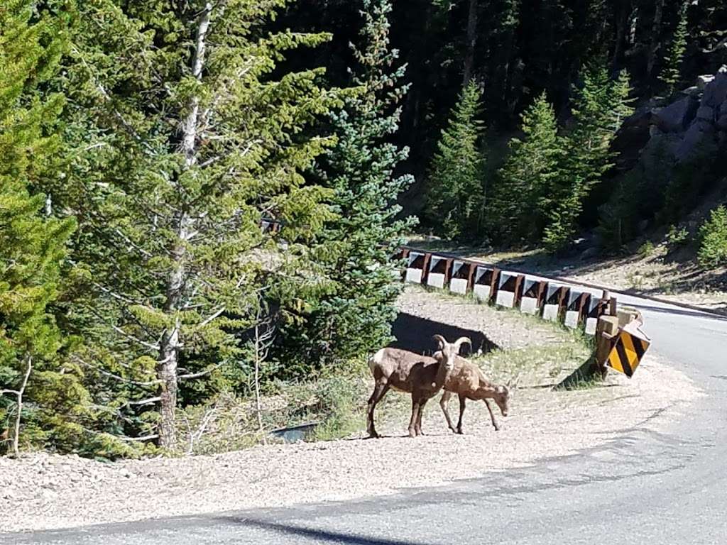 Silverdale Trailhead | 1967 Guanella Pass Rd, Georgetown, CO 80444, USA