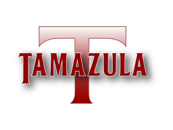 Tamazula Auto Center | 18069 Valley Blvd A, Bloomington, CA 92316, USA | Phone: (909) 566-4300