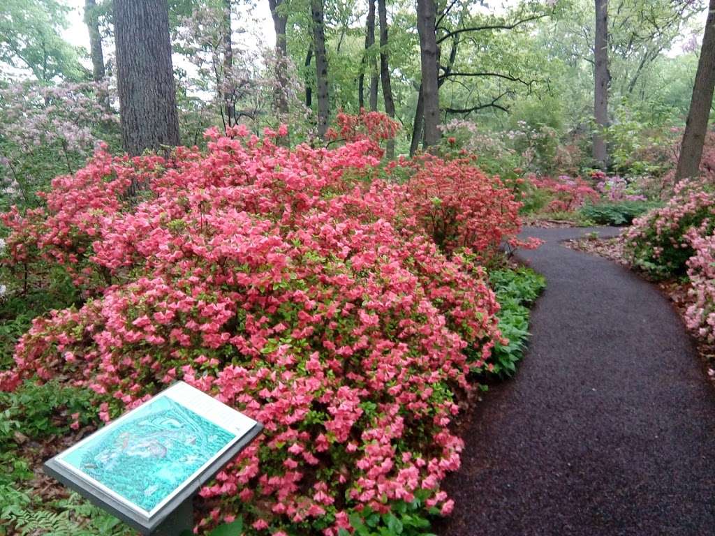 Jenkins Arboretum | 631 Berwyn Baptist Rd, Devon, PA 19333, USA | Phone: (610) 647-8870