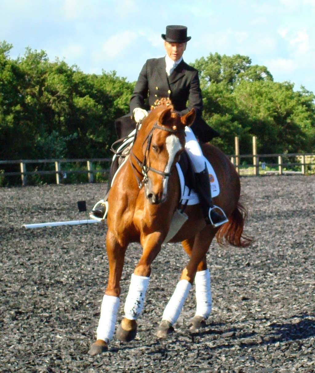 Sarah Williams Dressage | Yonder Farm, Orange Court Lane, Downe BR6 7JD, UK | Phone: 07956 369390