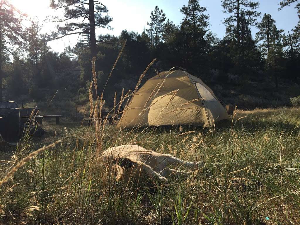 Horse Flats Campground | Pearblossom, CA 93553, USA