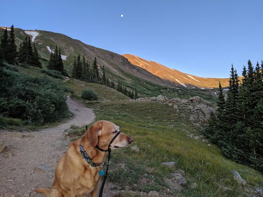 Silver Dollar Lake | Silver Dollar Lake Trail, Dillon, CO 80435, USA