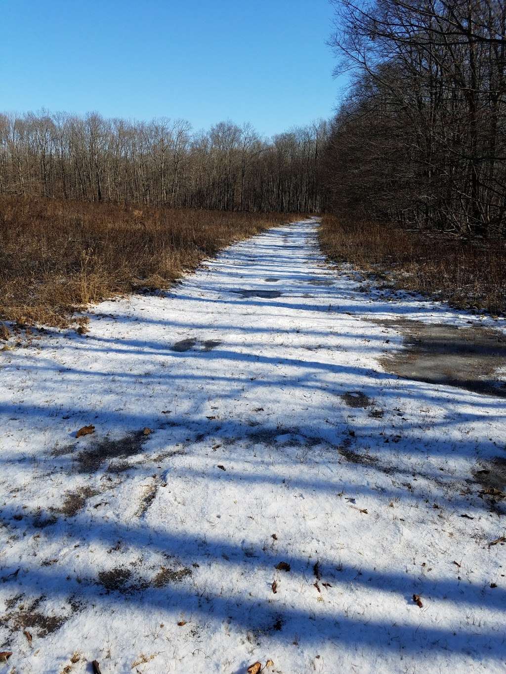 Hiking Spot- Clearing With Birdhouses | Patriots Path, Long Valley, NJ 07853, USA