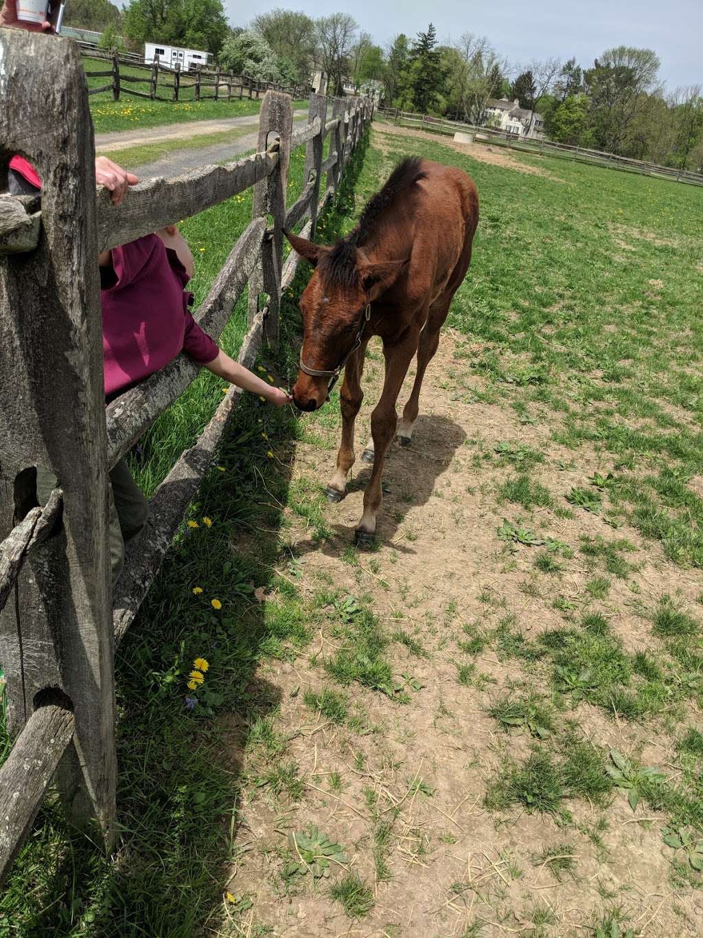 Willow Lake Farm Preserve | W Butler Ave, Ambler, PA 19002, USA