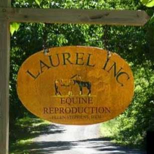 Laurel Inc Equine Reproductions | 525 Randleston Ln, Bluemont, VA 20135, USA | Phone: (540) 905-2054