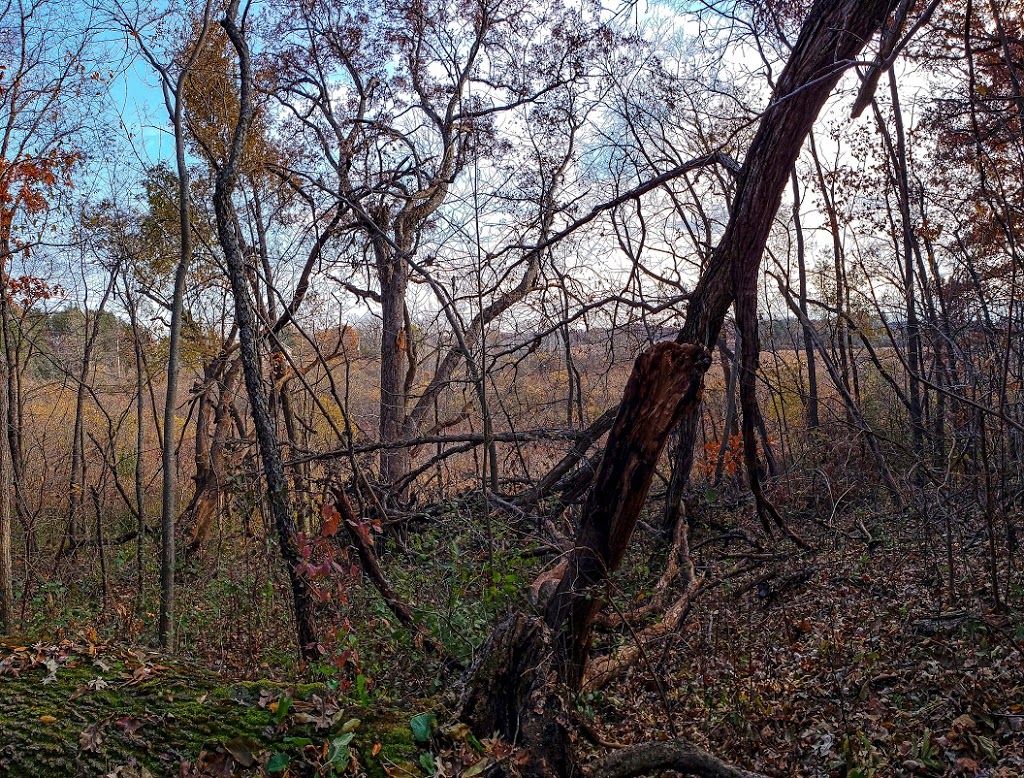 Pickerel Lake Fen State Natural Area | 101 S Webster St, Madison, WI 53703, USA | Phone: (608) 266-2621