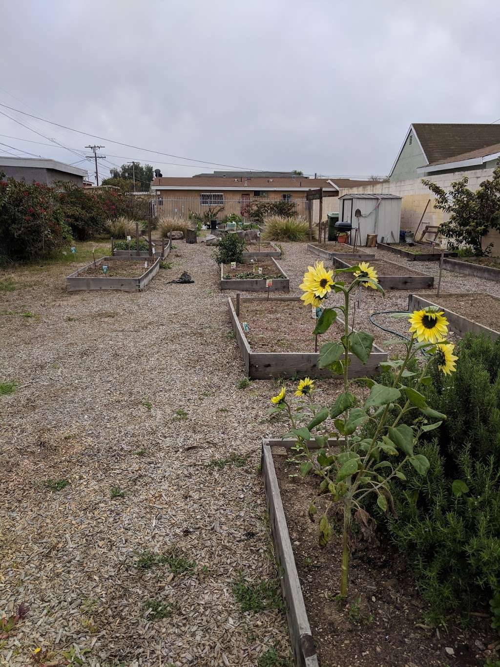 Heart of Watts Community Garden | 2254 E 103rd St, Los Angeles, CA 90002, USA