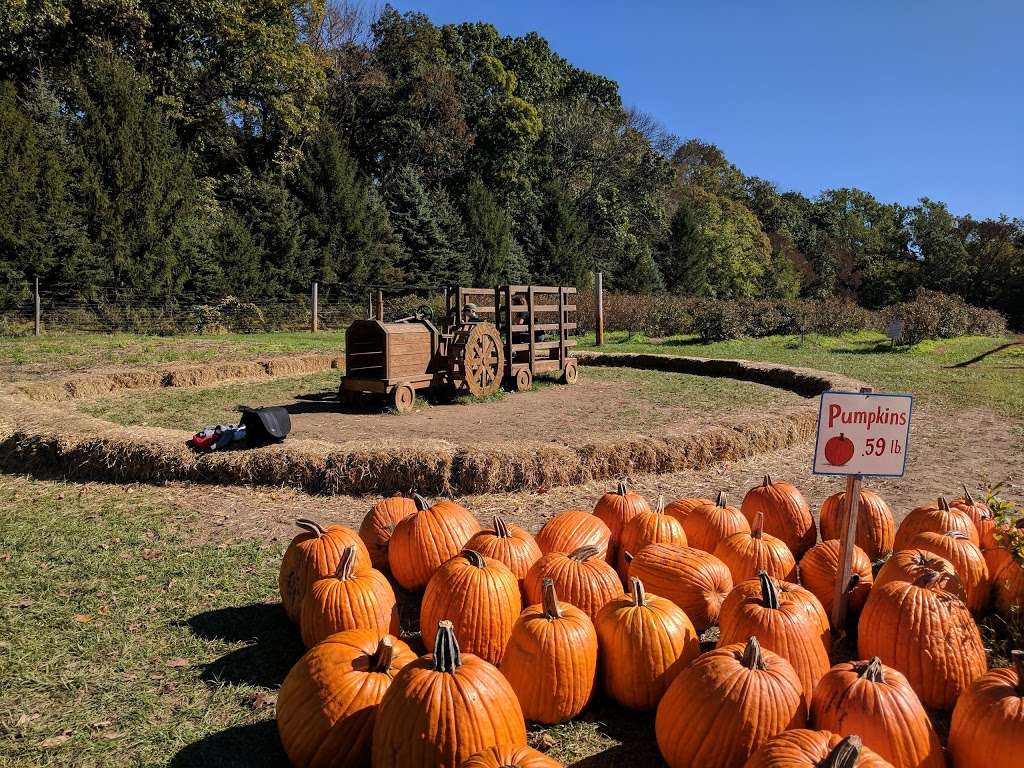 Solebury Orchards | 3325 Creamery Rd, New Hope, PA 18938, USA | Phone: (215) 297-8079