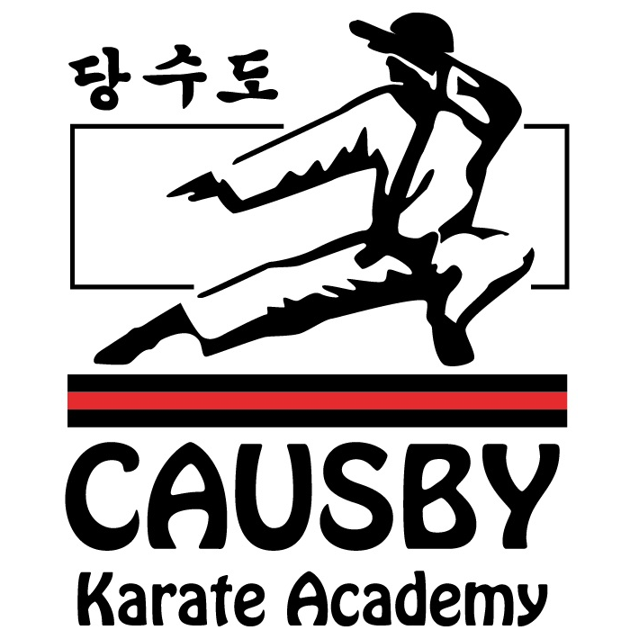 Causby Karate Academy | 3634 N Hwy 16 Business, Denver, NC 28037, USA | Phone: (704) 898-7637