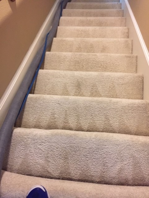 TLC Carpet Cleaning Inc | 430 E Church St, Lewisville, TX 75057, USA | Phone: (972) 434-2178