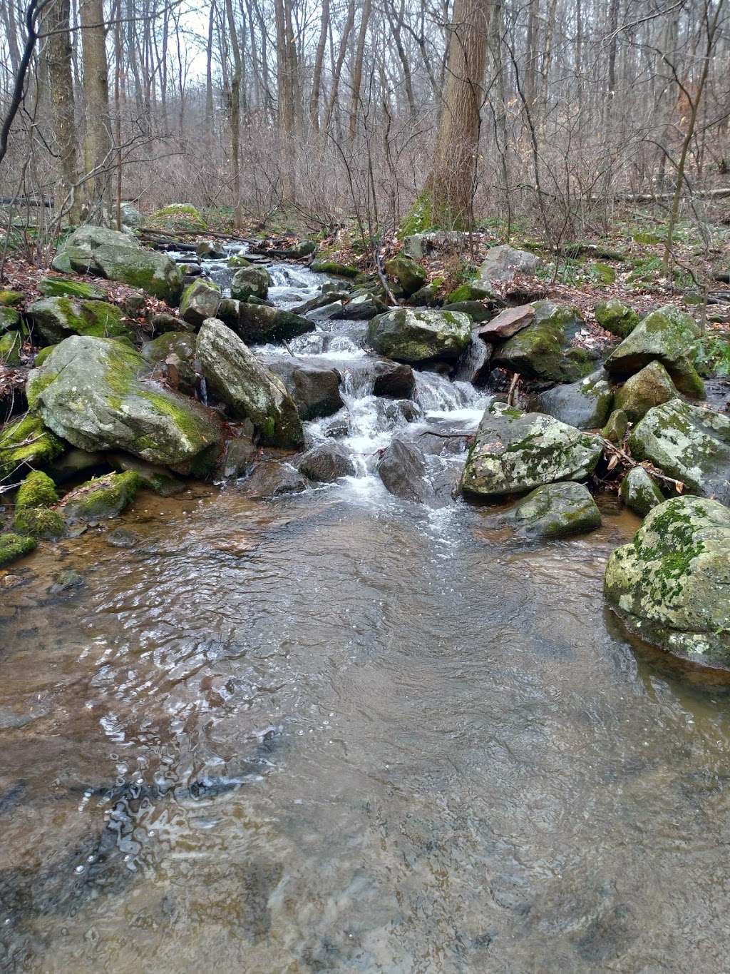 Texter Mountain Preserve | 78-198 Deer Rd, Robesonia, PA 19551, USA | Phone: (717) 392-7891