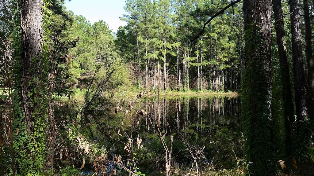 Sam Houston National Forest Multi-Use Trail West Parking | Kellys Pond Rd, Montgomery, TX 77356, USA | Phone: (936) 344-6205