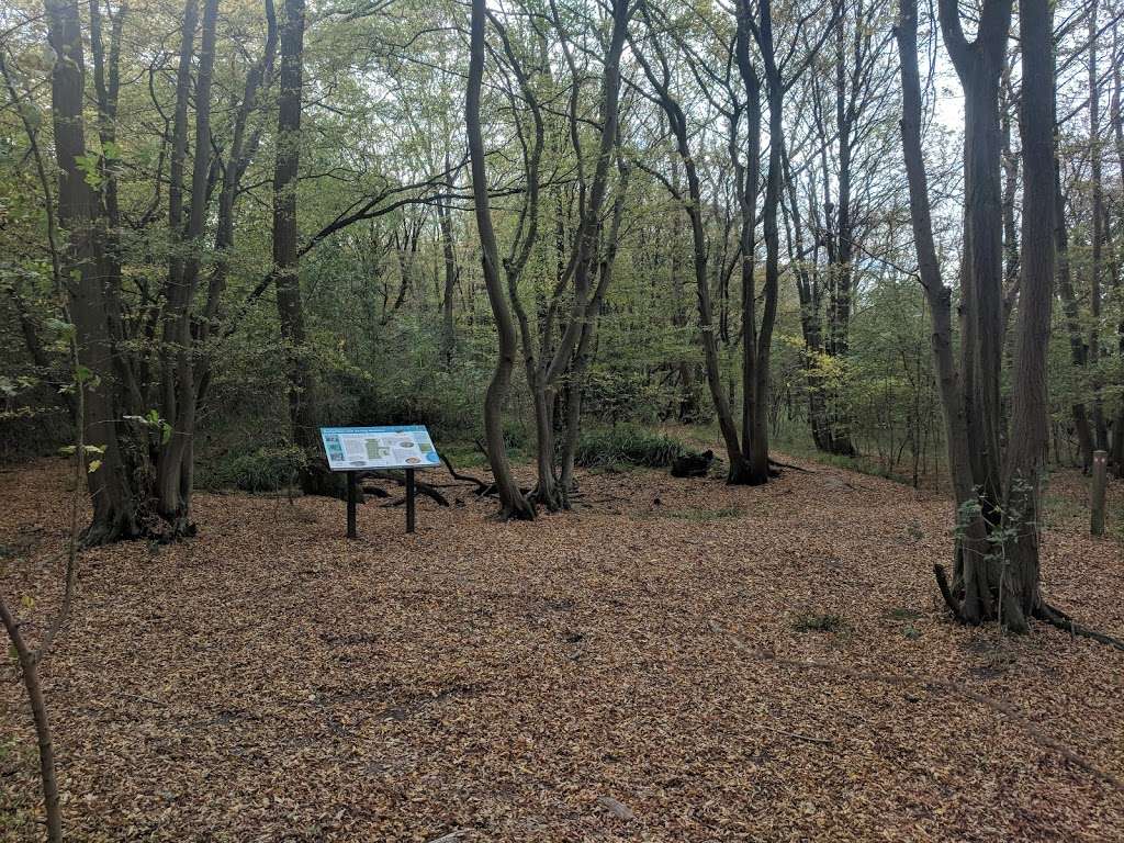 Balls Wood Nature Reserve | Unnamed Road,, Hertford Heath, Hertford SG13 7PZ, UK | Phone: 01727 858901