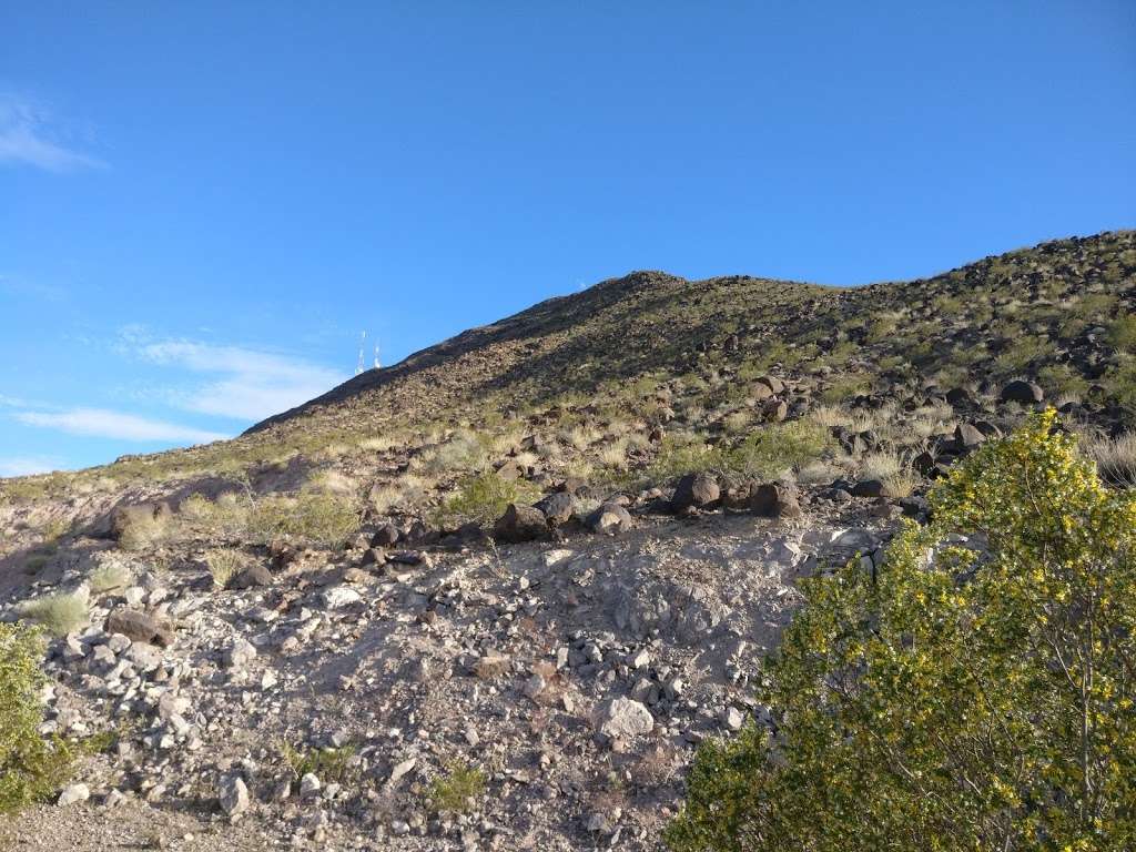 Amargosa Trailhead - Shaded Canyon | Shaded Canyon Dr, Henderson, NV 89012, USA