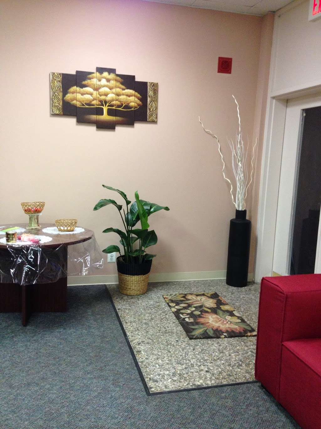 World of Ayurveda | 18 Hidden Meadow Ln, New Canaan, CT 06840, USA | Phone: (203) 961-0044