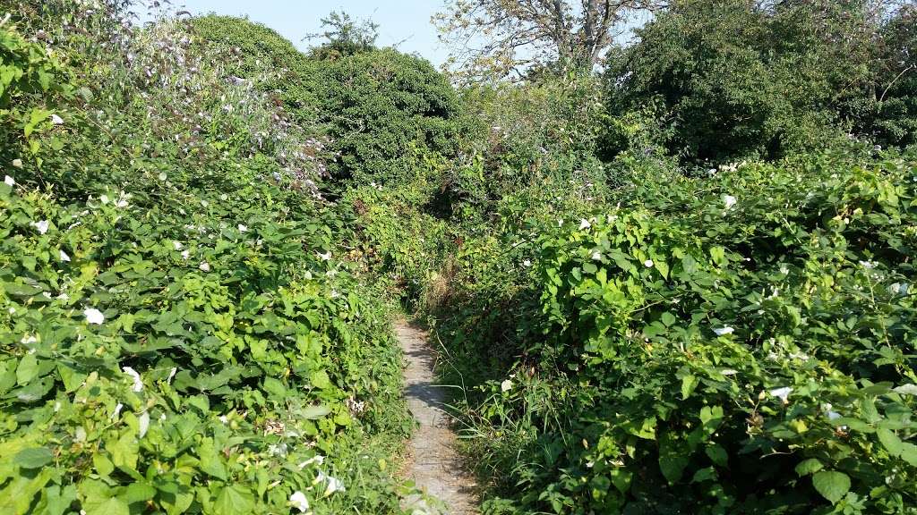 Rainham Marshes nature reserve | Purfleet Environmental and Educational Centre, New Tank Hill Rd, Purfleet, South Ockendon RM19 1SZ, UK | Phone: 01708 899840