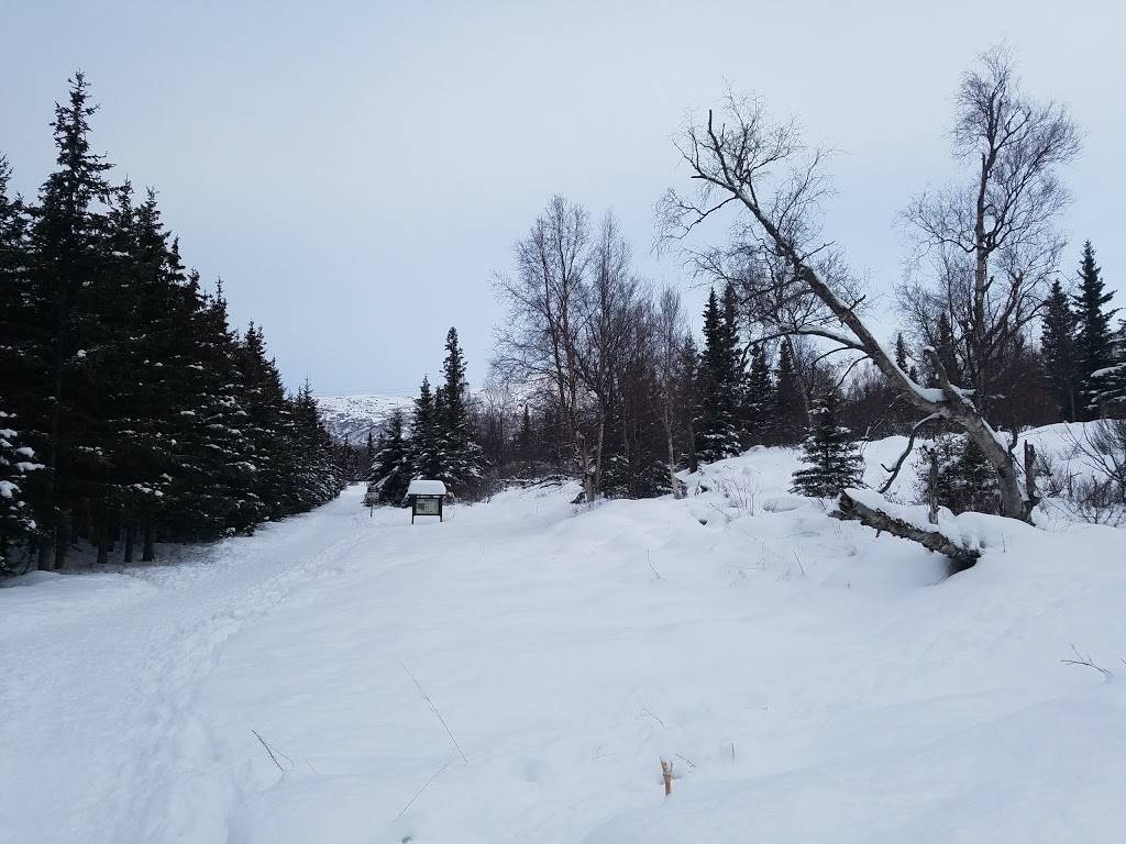 Prospect Heights Trailhead | Wolverine Trail, Anchorage, AK 99516, USA | Phone: (907) 345-5014