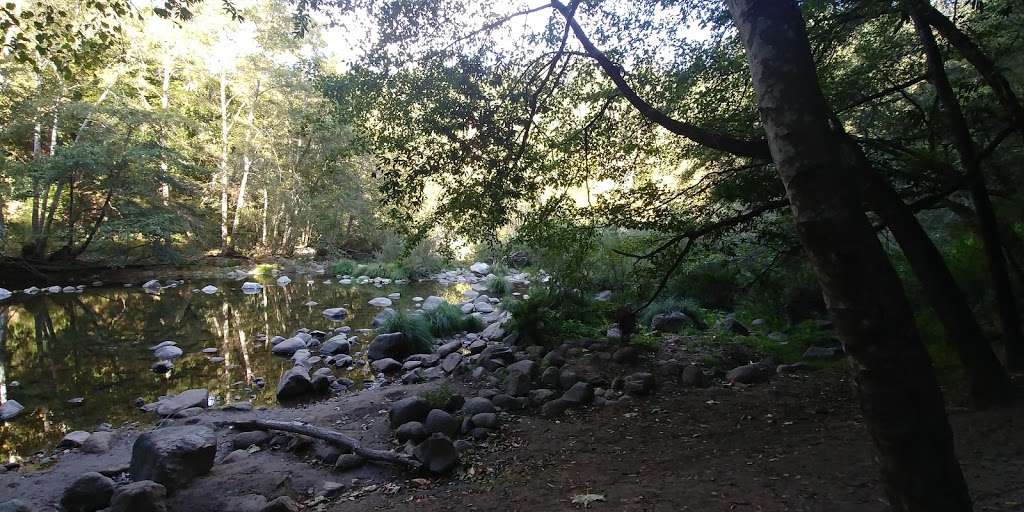 Rincon Parking Lot, Henry Cowell SP | CA-9, Santa Cruz, CA 95060, USA