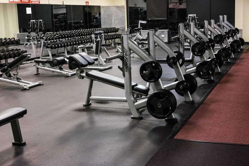 PRO FITNESS GYM | 2172 Lake Cook Rd, Algonquin, IL 60102, USA | Phone: (847) 458-2600