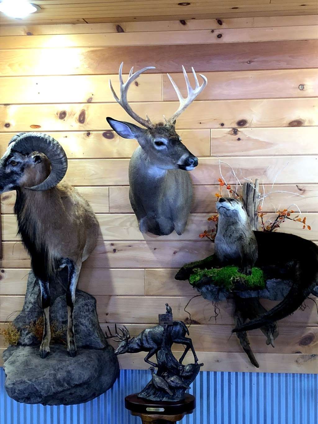 Nature’s Outdoors and Taxidermy | 357A Camp Lavigne Rd, Benton, PA 17814, USA | Phone: (570) 925-4091