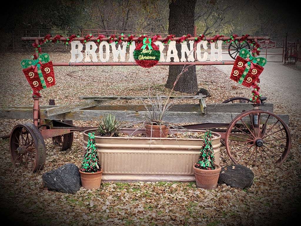 Brown Ranch | 7101 Camino Tassajara, Pleasanton, CA 94588, USA | Phone: (925) 963-3778