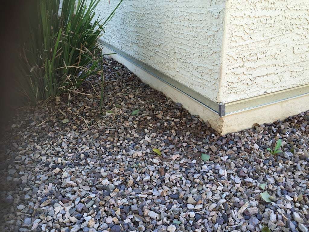 Pest Borders Scorpion Pest Control | 12710 W Avalon Dr, Avondale, AZ 85392, USA | Phone: (480) 735-1234