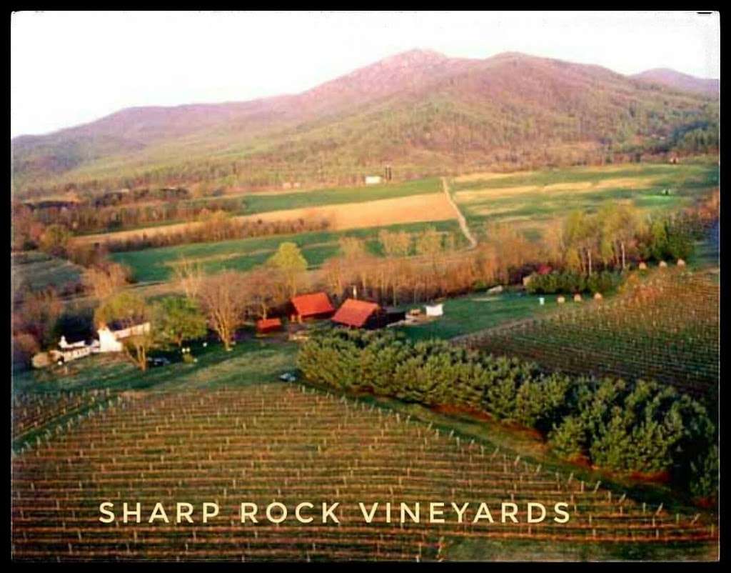 Sharp Rock Vineyards | 5 Sharp Rock Rd, Sperryville, VA 22740, USA | Phone: (540) 987-8020