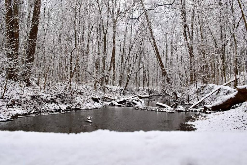 Bicentennial Woods - ACRES Land Trust | 340 E W Shoaff Rd, Huntertown, IN 46748, USA | Phone: (260) 637-2273