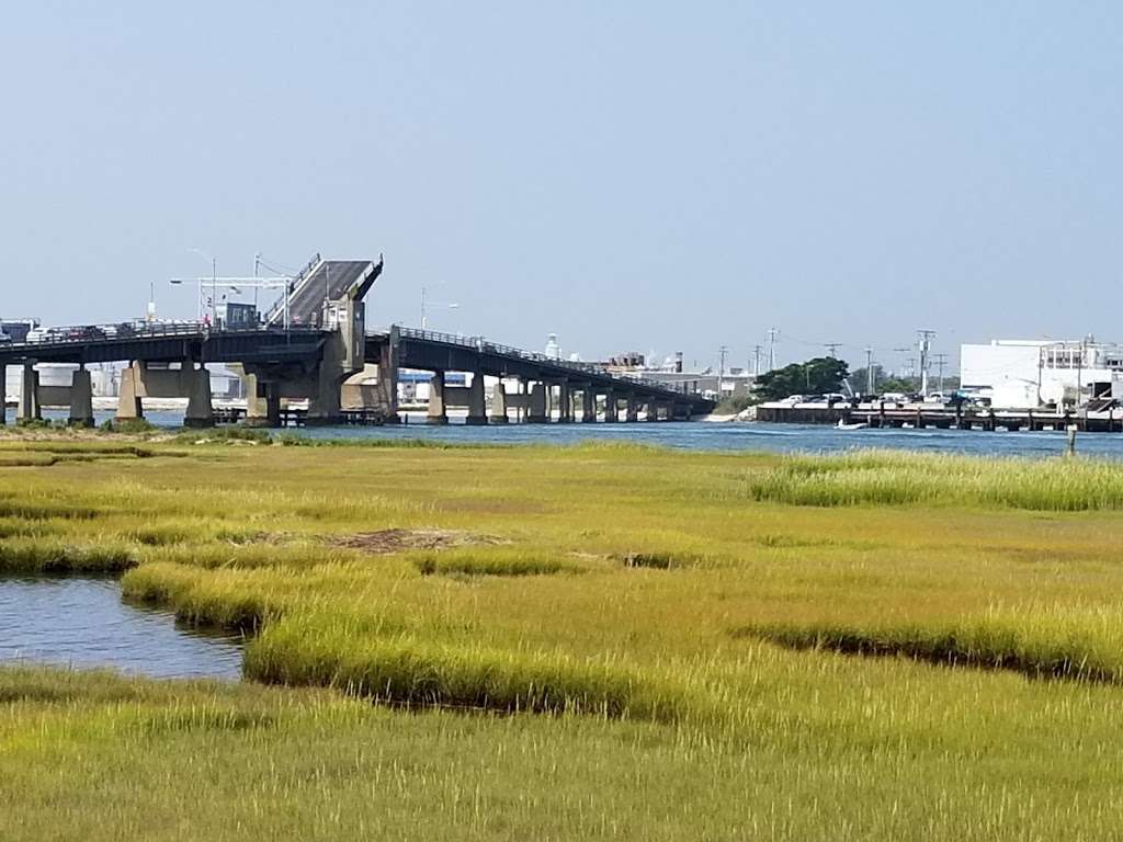 Skimmer Tours - Salt Marsh Safari | 1001 Ocean Dr, Wildwood, NJ 08260, USA | Phone: (609) 884-3100