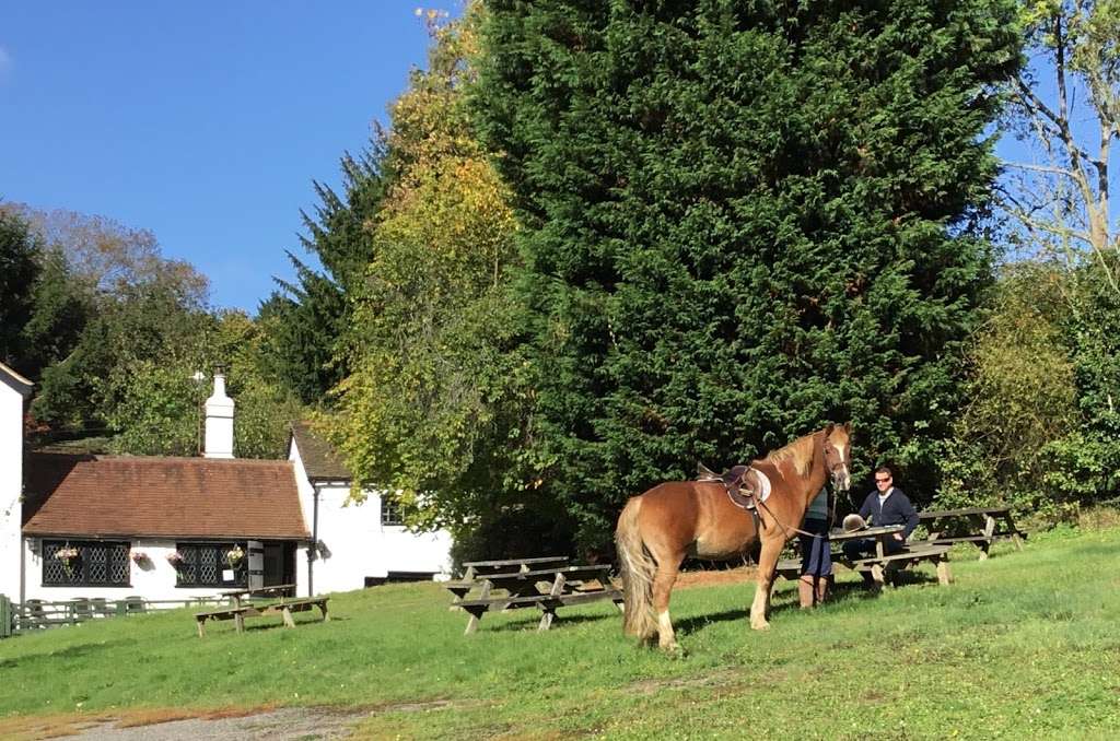 The Golding Hop Tea House | Sheet Hill, Sevenoaks TN15 0PT, UK | Phone: 01732 887162