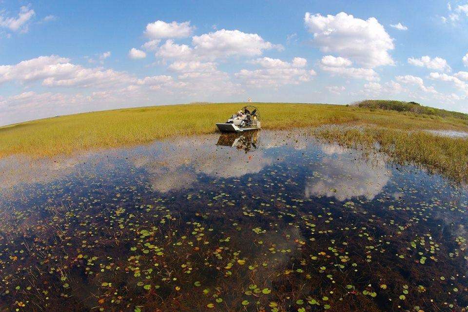 Airboat In Everglades | 17696 SW 8th St, Miami, FL 33194, USA | Phone: (888) 893-4443