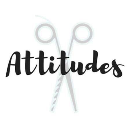 Attitudes Of Delavan | 1407 Racine St ste f, Delavan, WI 53115, USA | Phone: (262) 728-6006