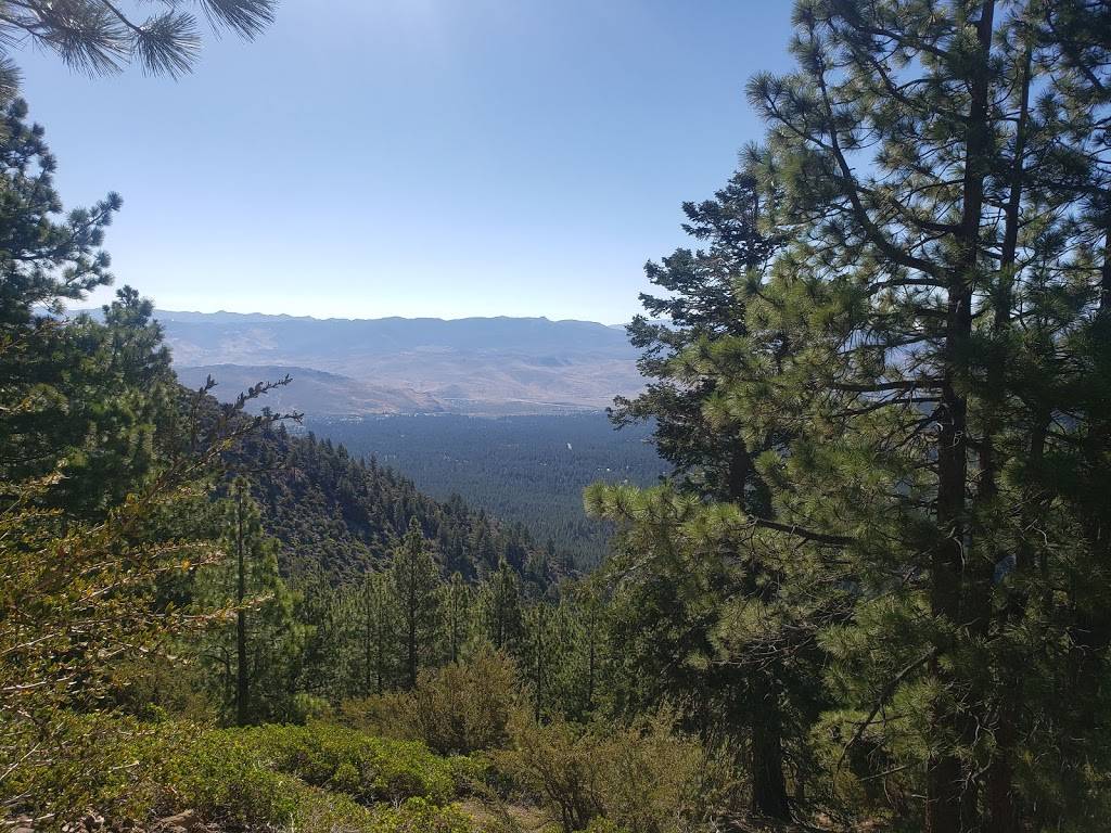 Jones-Whites Creek Trailhead | Jones Creek Loop, Reno, NV 89511, USA | Phone: (775) 849-5211