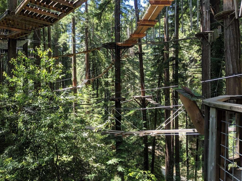 Redwood Canopy Tour | 17 Conference Dr, Felton, CA 95014, USA | Phone: (831) 430-4357