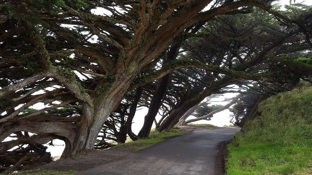 Lighthouse Visitor Center | Lighthouse Visitor Center, 27000 Sir Francis Drake Blvd, Inverness, CA 94937, USA | Phone: (415) 669-1534